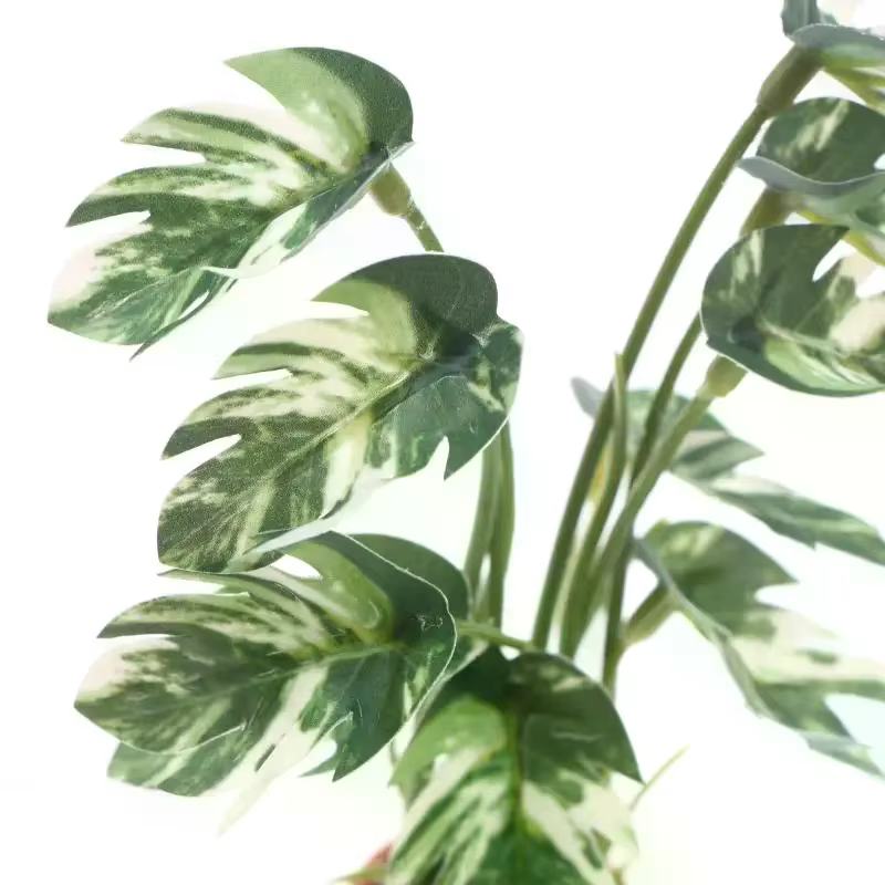 Simulation de maison de poupée Monstera