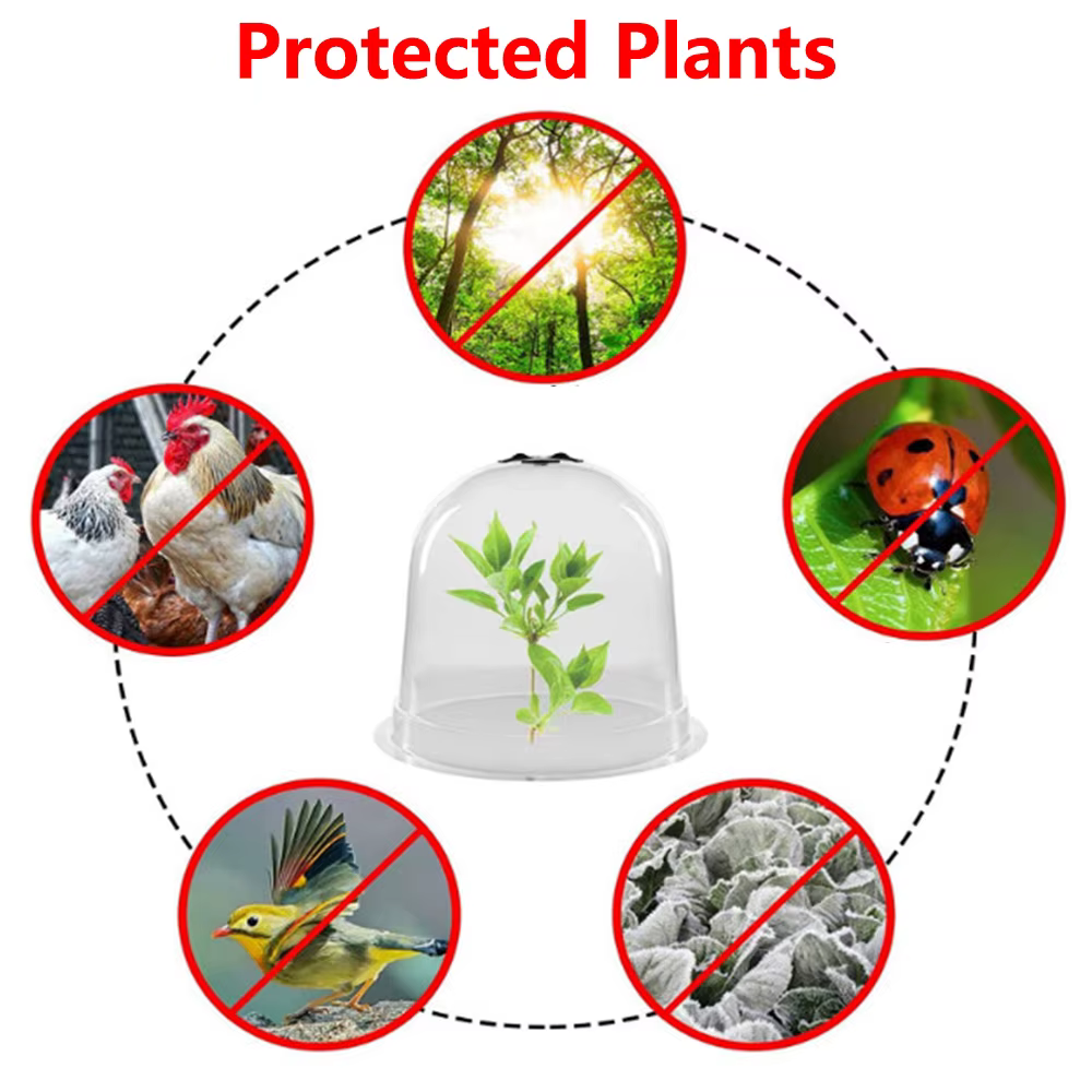 Cloche de protection des plantes réutilisable en plastique transparent