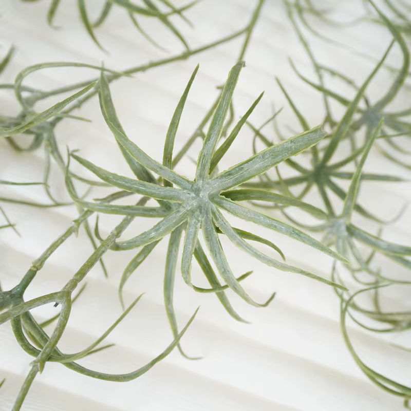 Plantes Vertes Artificielles