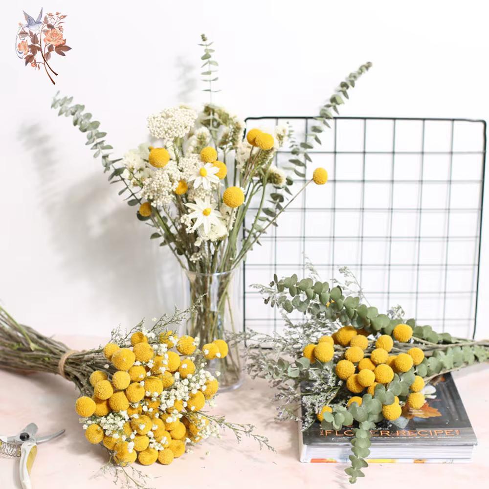 Bouquet de fleurs séchées
