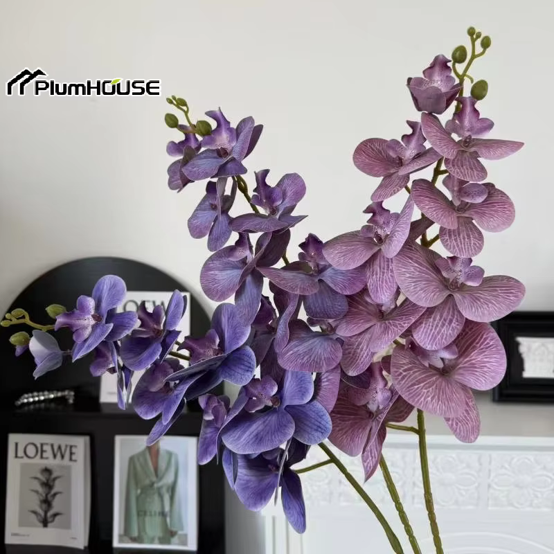 Phalaenopsis artificiel