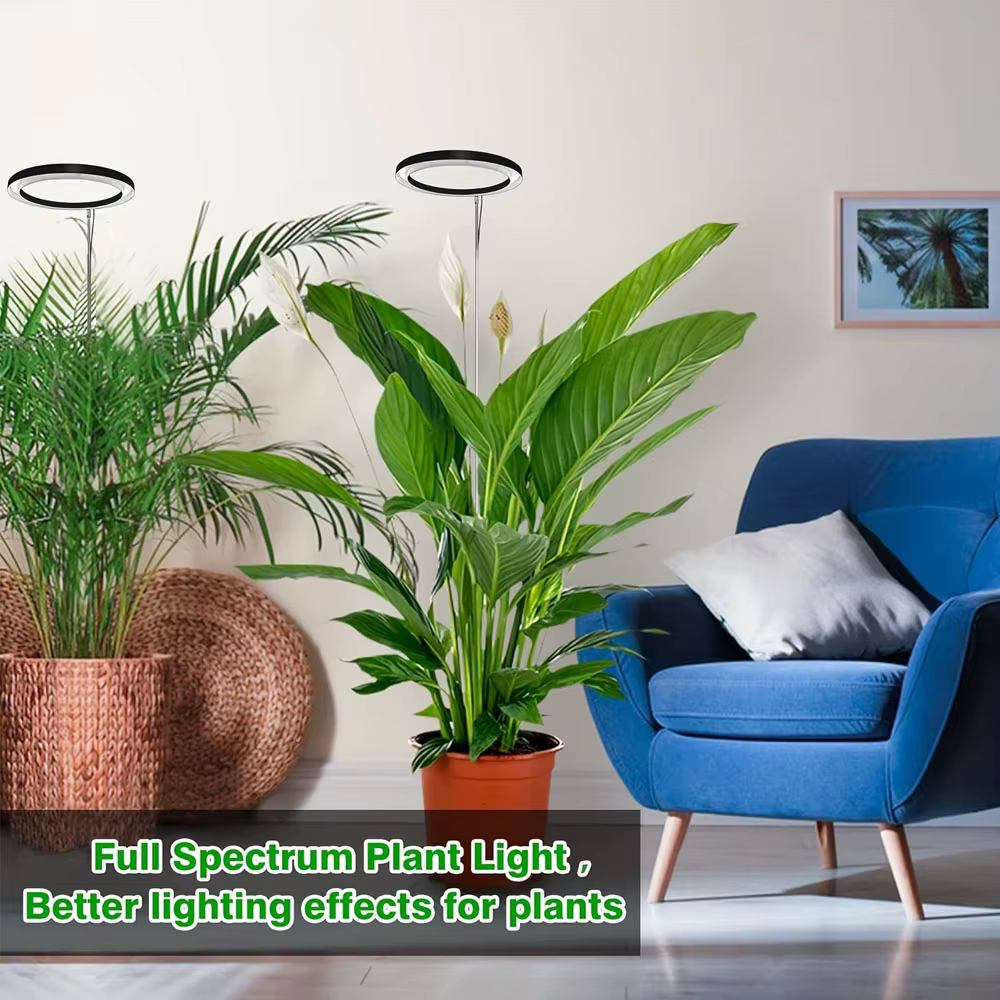 Lumière LED pour plantes à spectre complet de 6 pouces