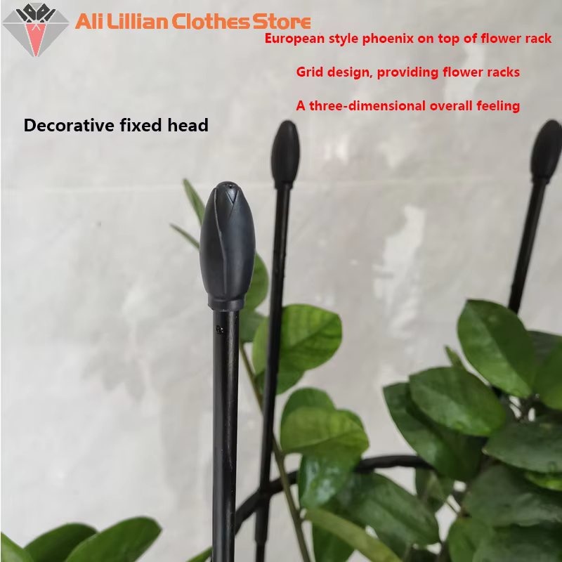Cages de Support pour Plantes Grimpantes