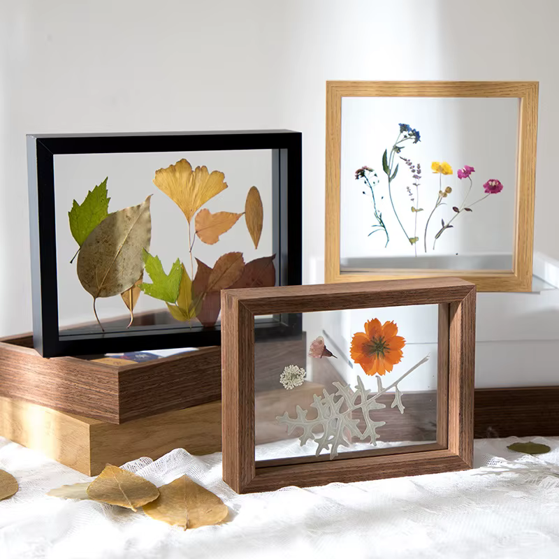 Boîte à spécimen de feuilles de fleurs séchées de style européen