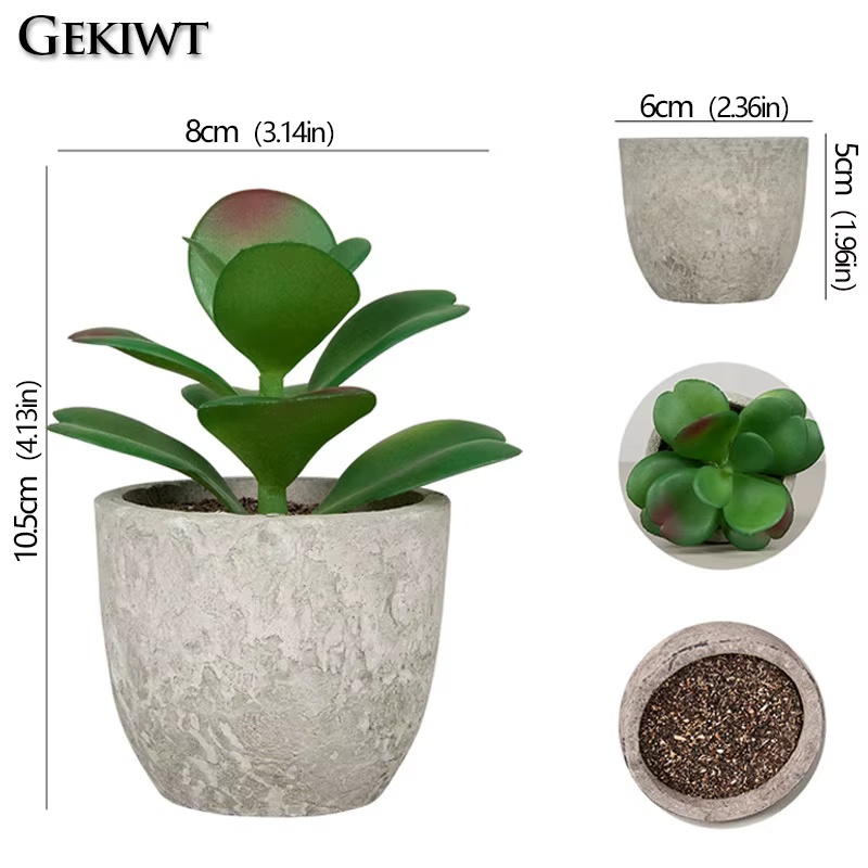 Mini plantes succulentes artificielles à feuilles persistantes
