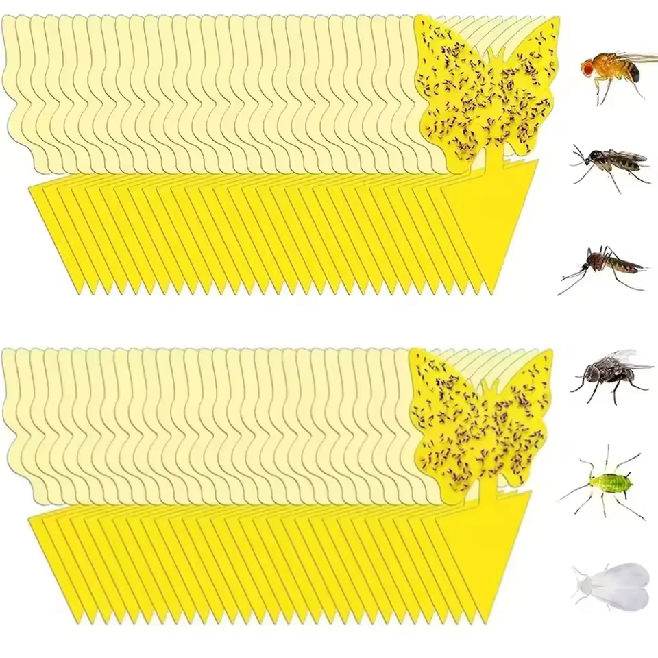Éliminez les nuisibles instantanément - Pièges collants pour le contrôle des champignons