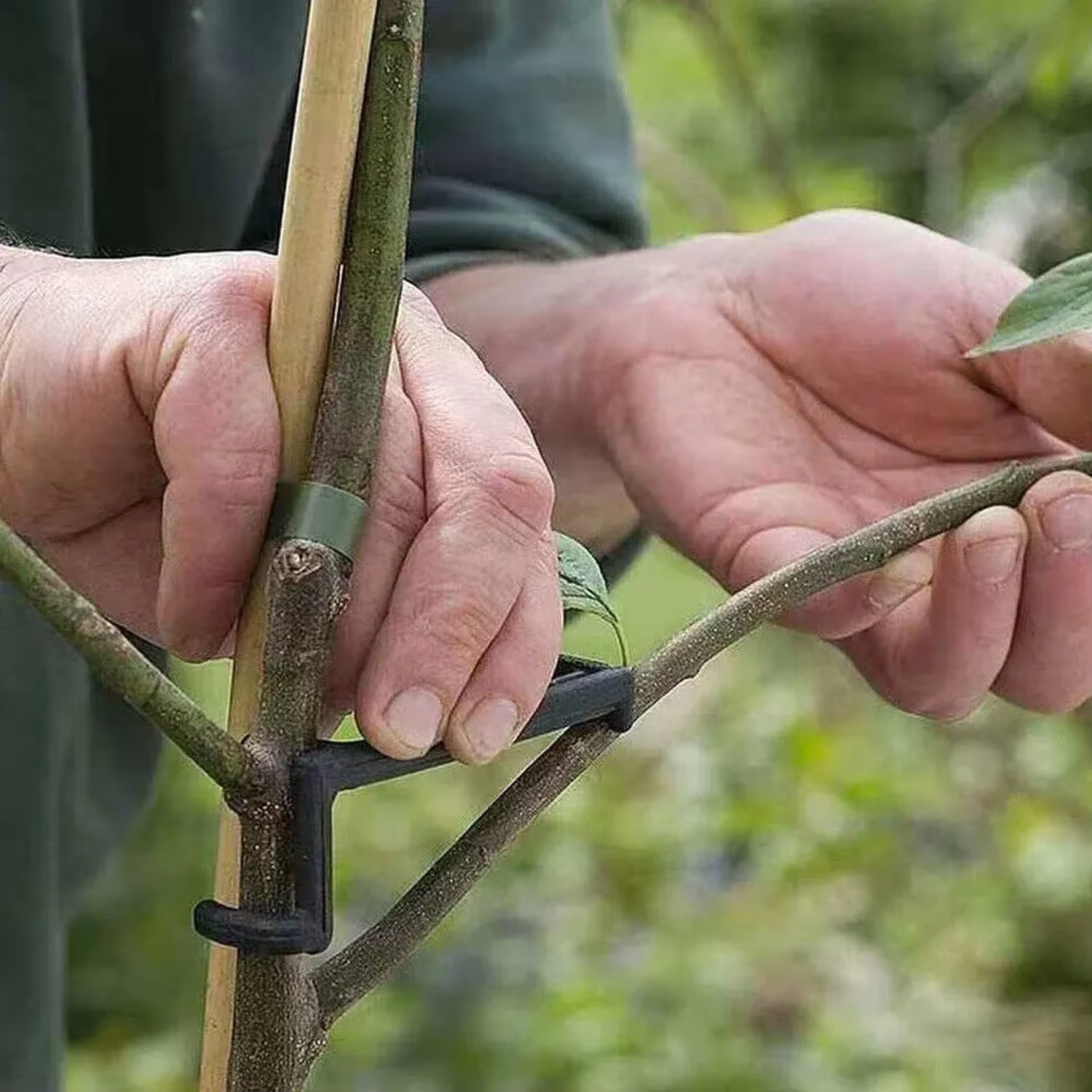 Épandeur d'arbres à branches