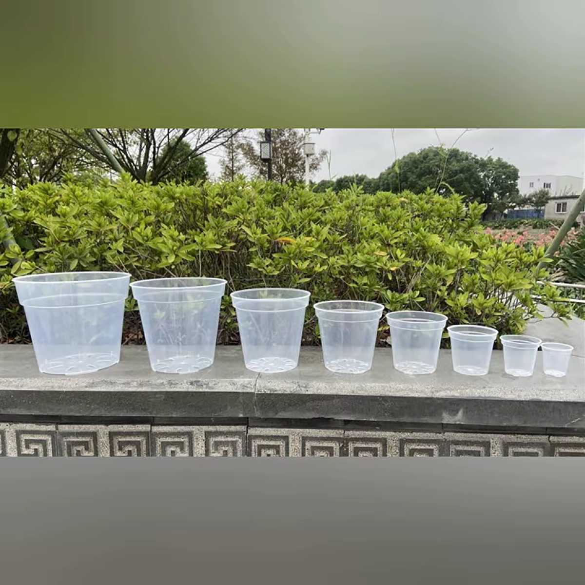 Pot rond transparent pour culture de fleurs