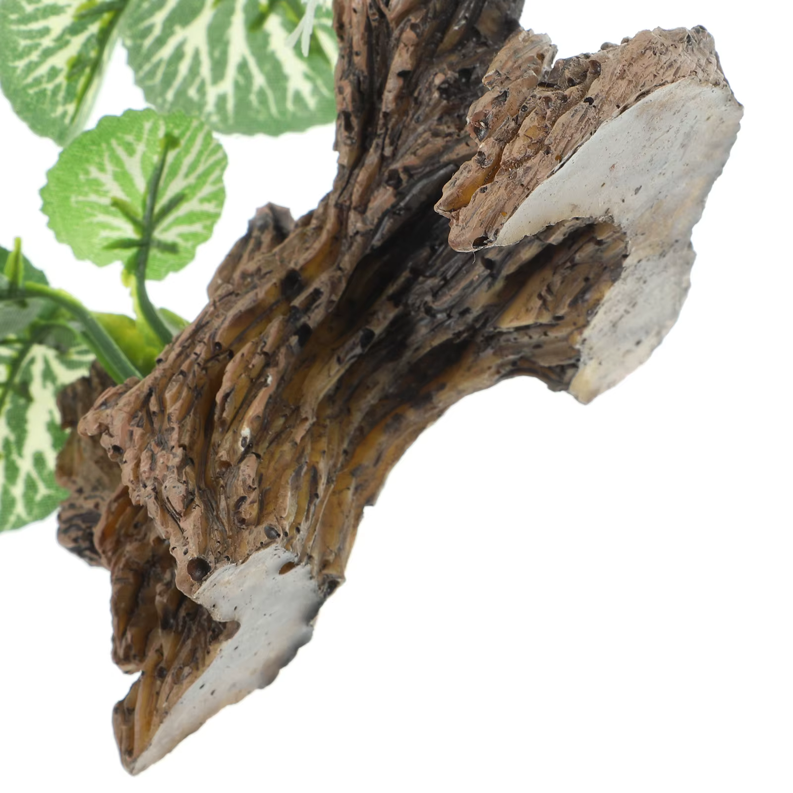 Plantes de Reptile réalistes
