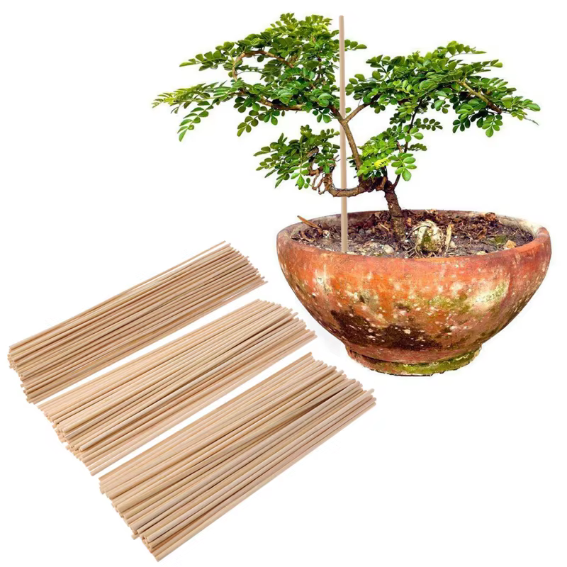 Bâtons bambou pour plantes jardin