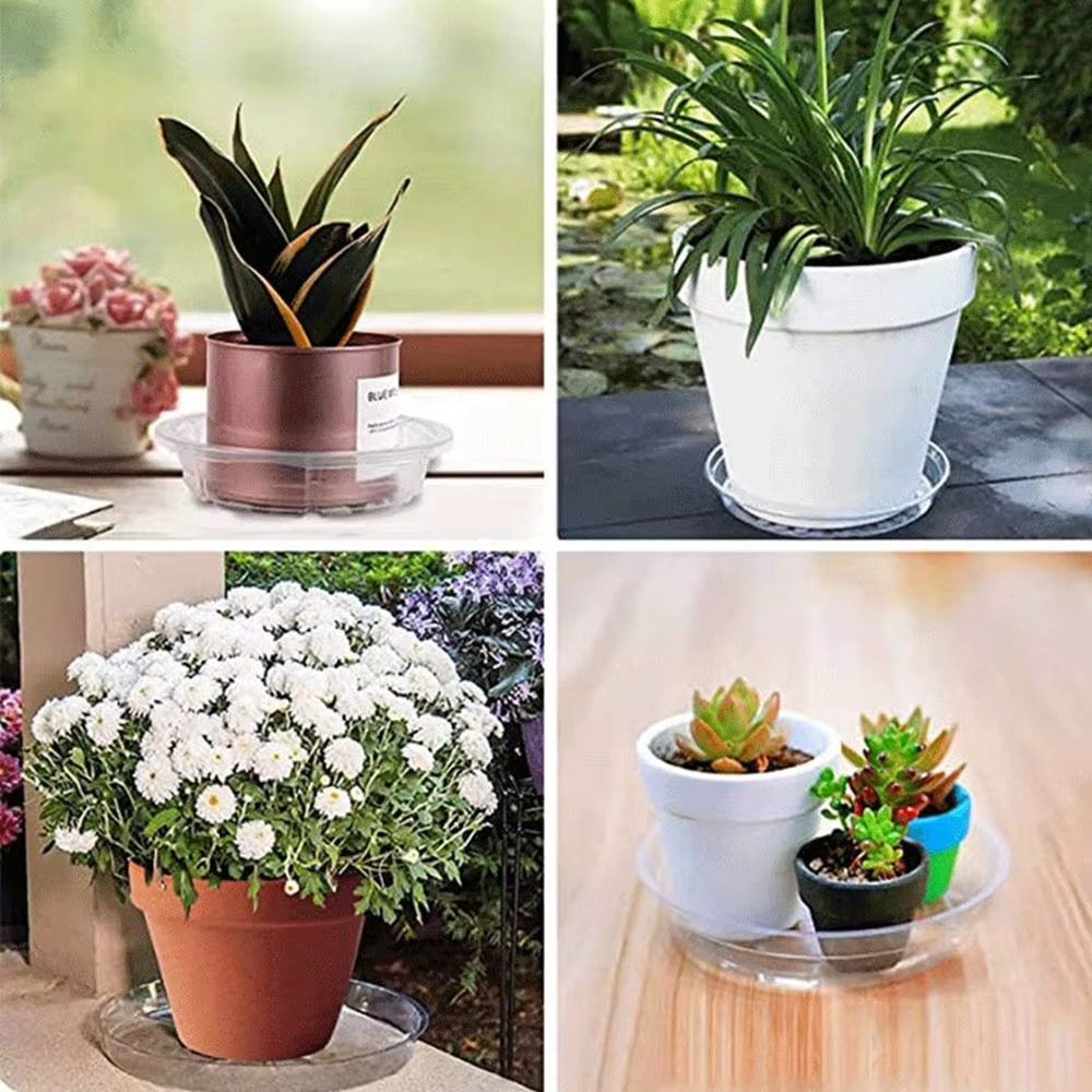 Plateaux en plastique pour plantes d'intérieur