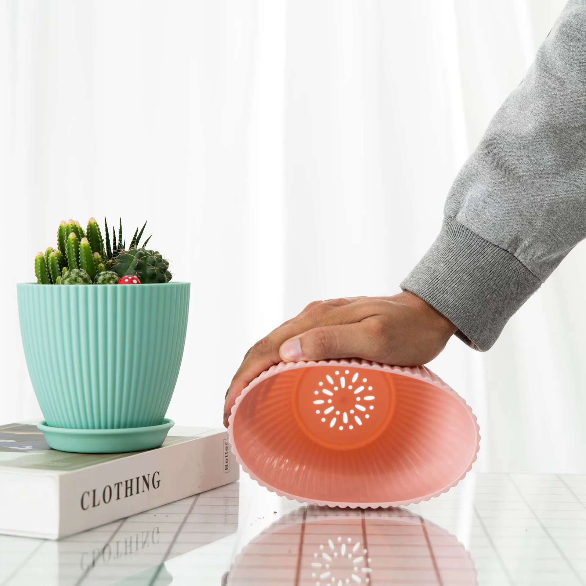 Petit pot à succulentes