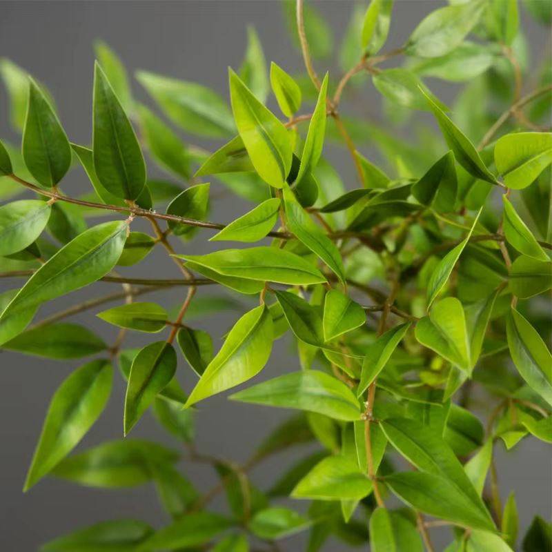 Plantes artificielles Nandina de 75 à 110 cm de hauteur