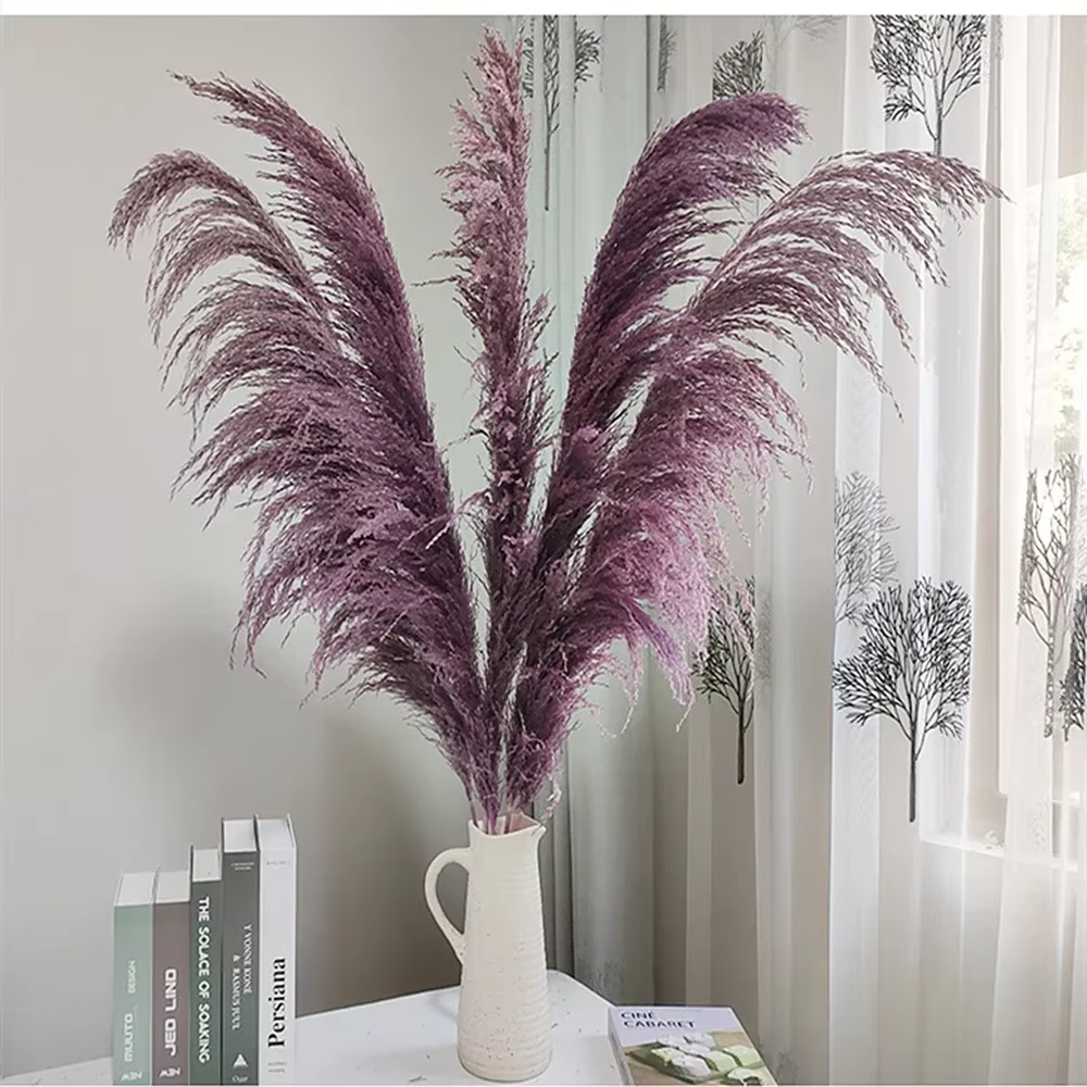 Grande herbe de Pampas naturelle de 80cm
