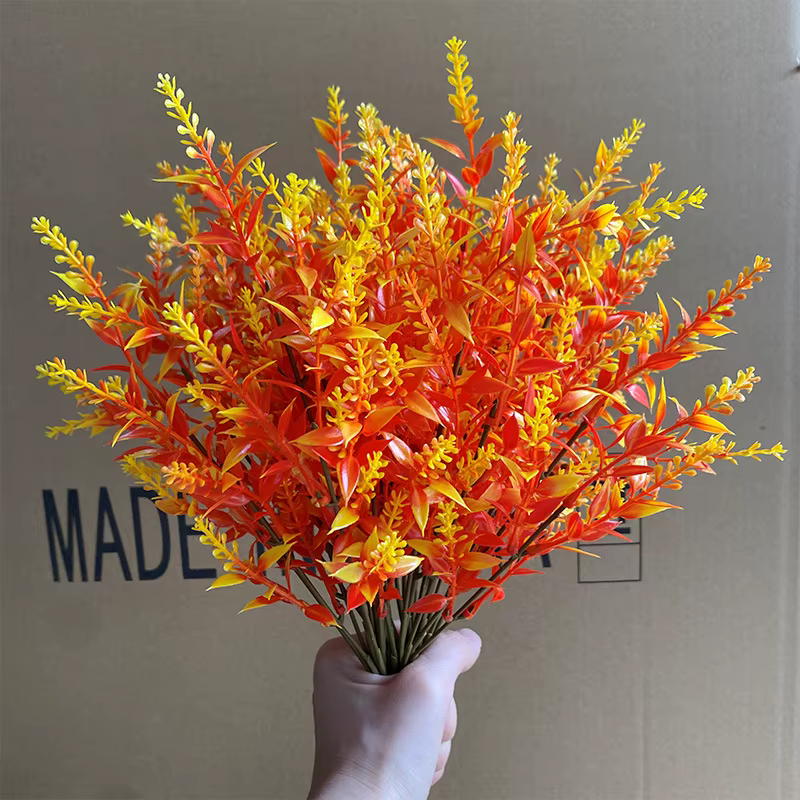 Plante verte lavande, bouquet d'herbe d'eau