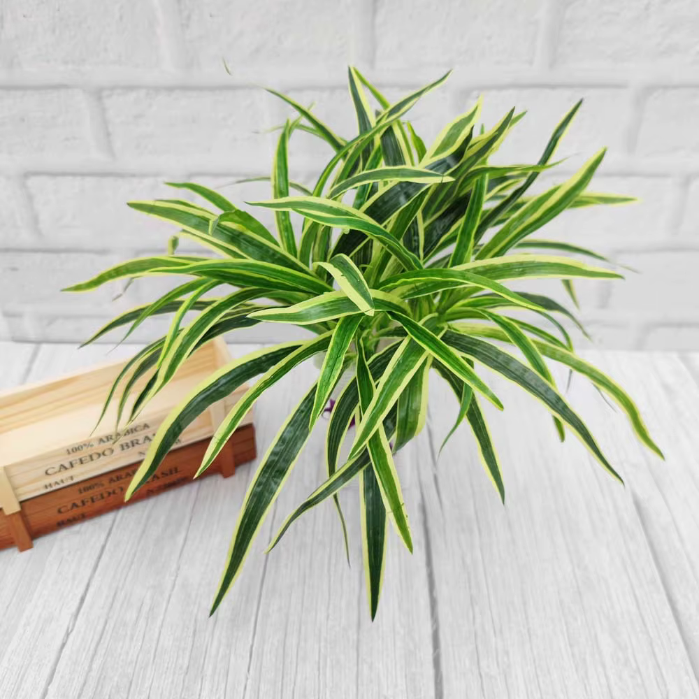 Plantes Artificielles en Plastique pour Décoration de Salon