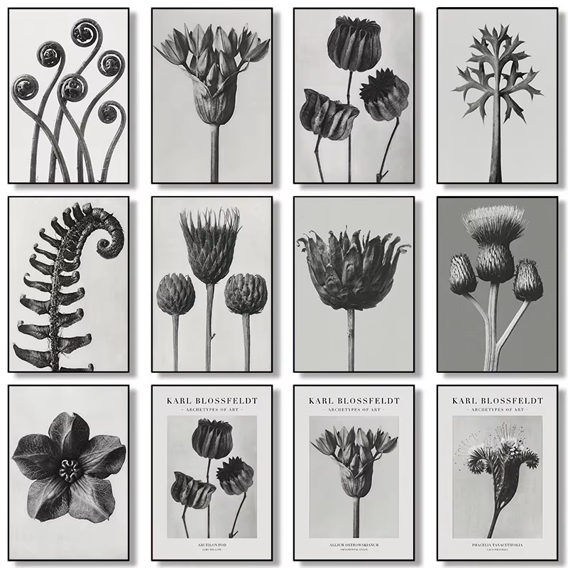 Karl Blossfeldt noir et blanc plante fleur minimaliste esthétique impression toile peinture pour salon moderne décor à la maison