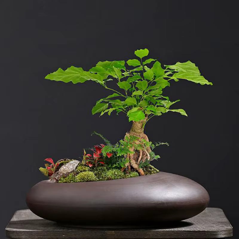 Pot de plantes en argile violette rétro