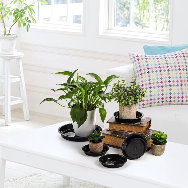 Soucoupes pour plantes de 6