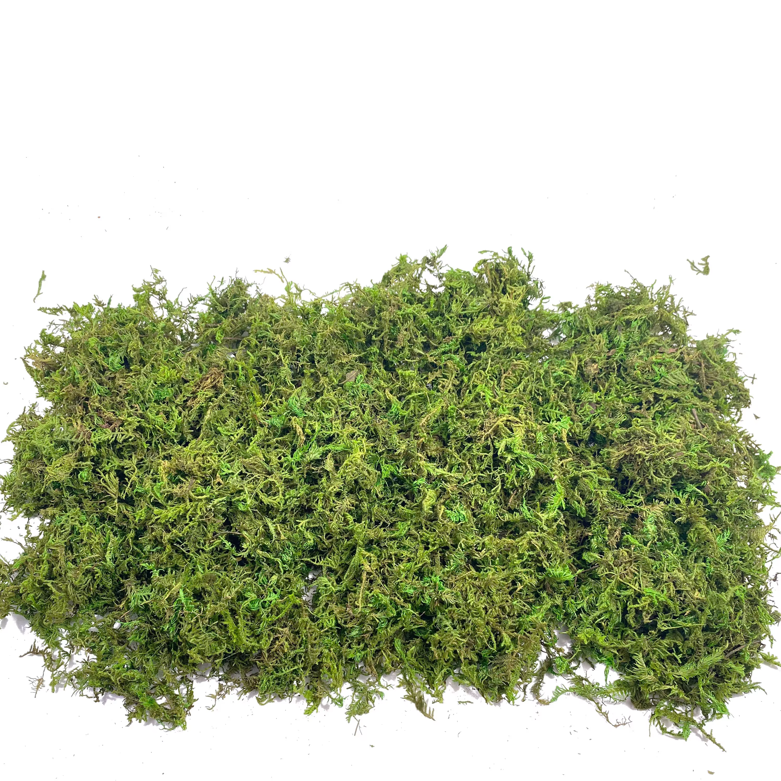 Mousse artificielle pour plantes en pot