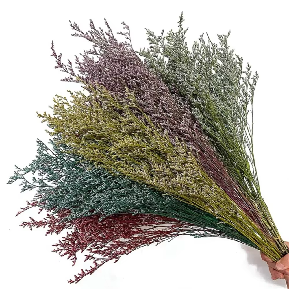 Bouquet de fleurs d'amant séchées naturelles