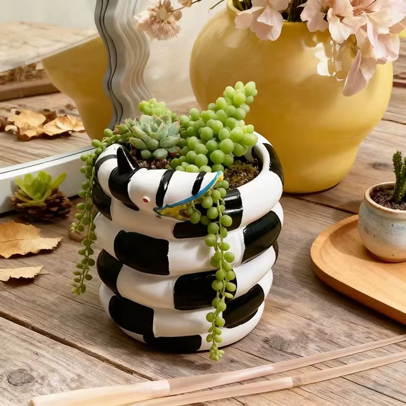 Pot de fleurs en spirale créatif