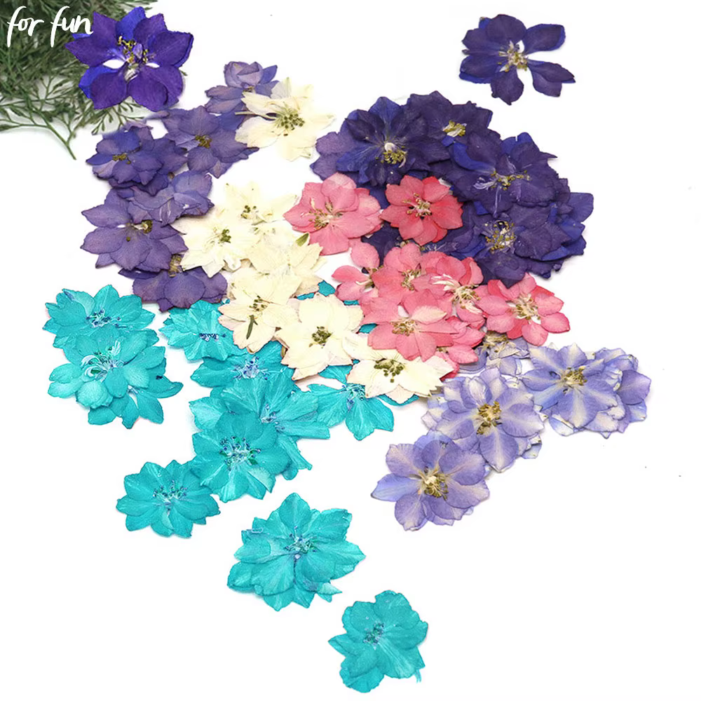 Plantes sèches de fleurs séchées naturelles amusantes