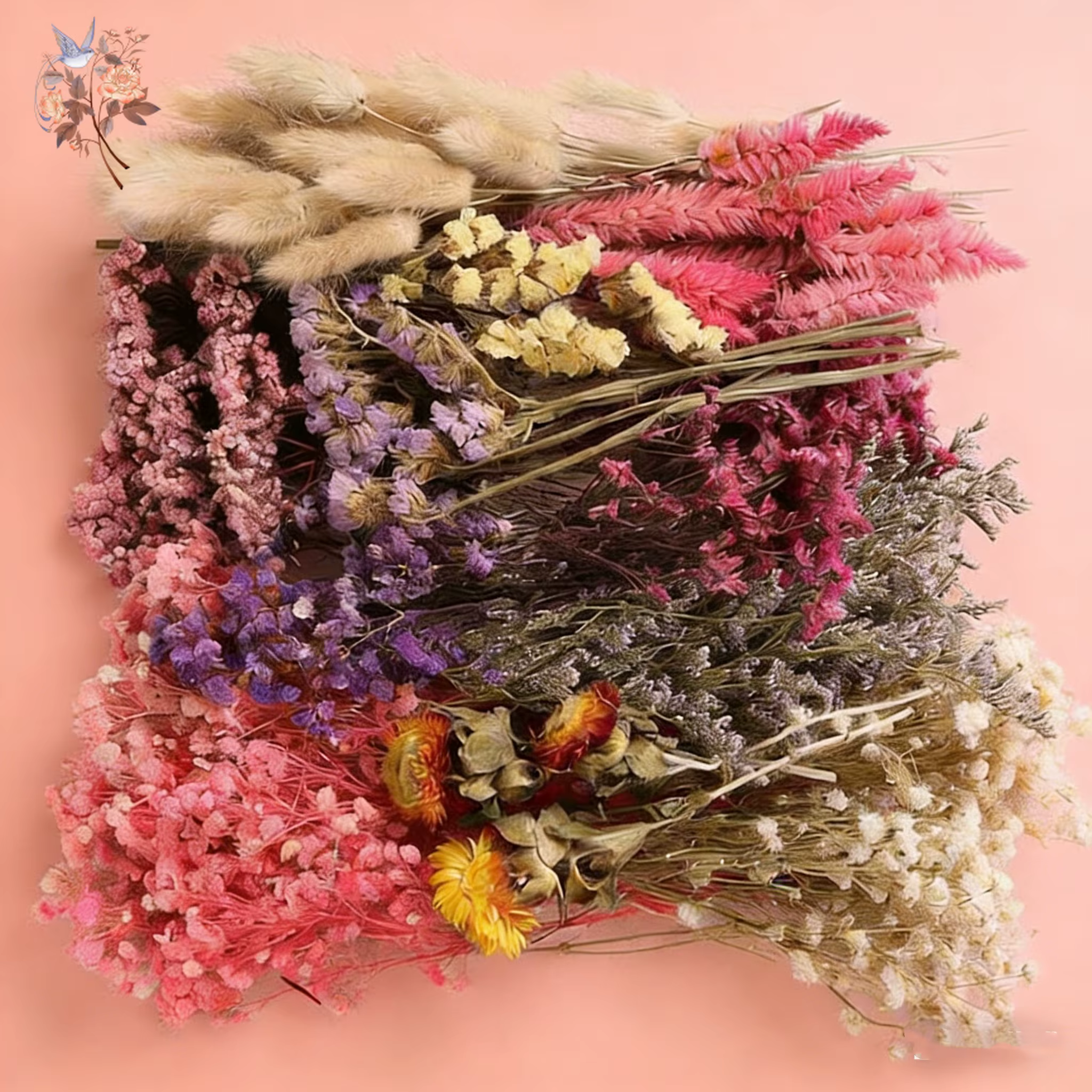 Coffret de matériaux de fleurs séchées mélangées