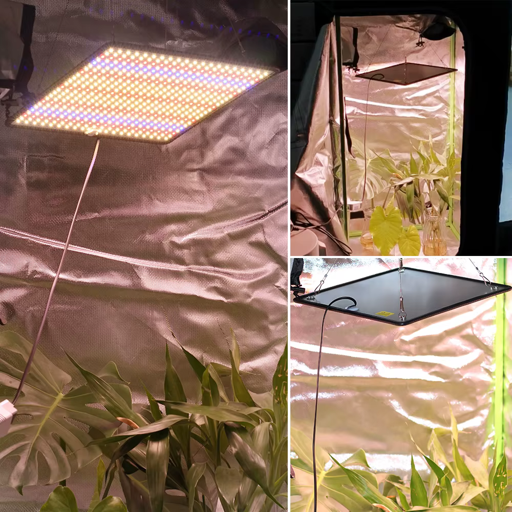 LED élèvent la lumière spectre complet Phyto lampe AC85-240V 40W