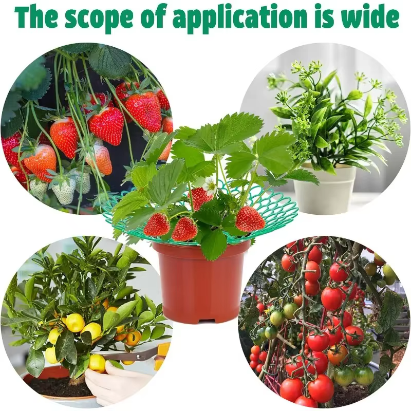 Supports pour plantes à fraises