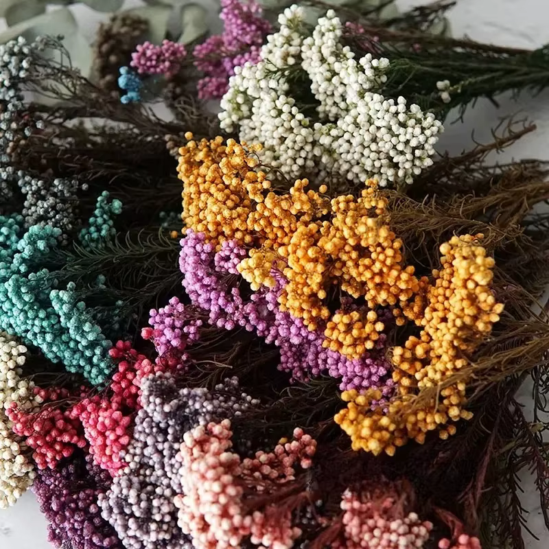 Fleurs de riz séchées naturelles