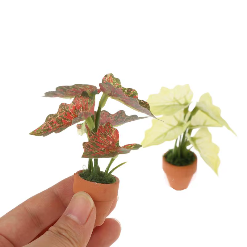 Miniature Plante en Pot Taro Vert Arrière-Plan Tortue