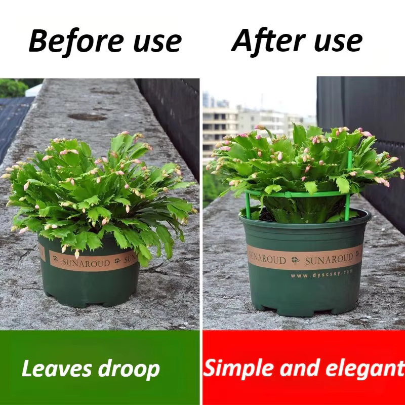 1 ensemble de supports de plantes en plastique