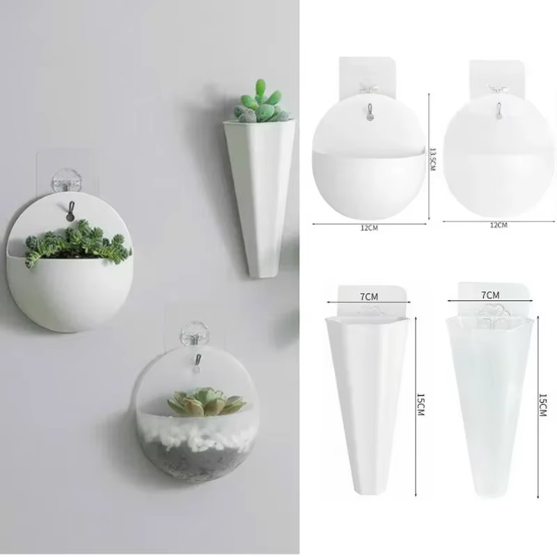 Plante de fleurs jardin intérieur maison