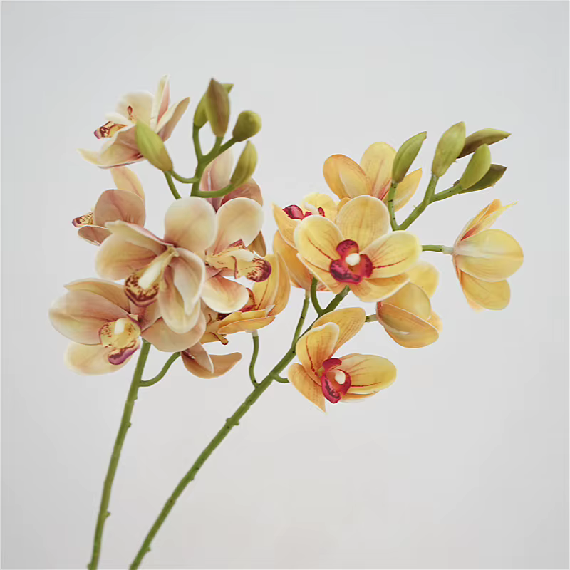 Cymbidium en Latex au Toucher Réel