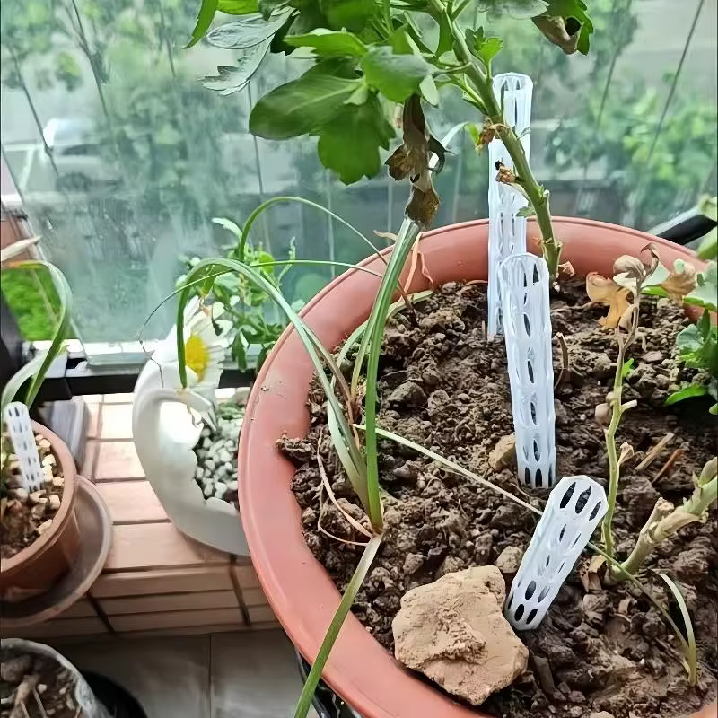 Solution contre l'excès d'eau! Tubes d'aération pour plantes
