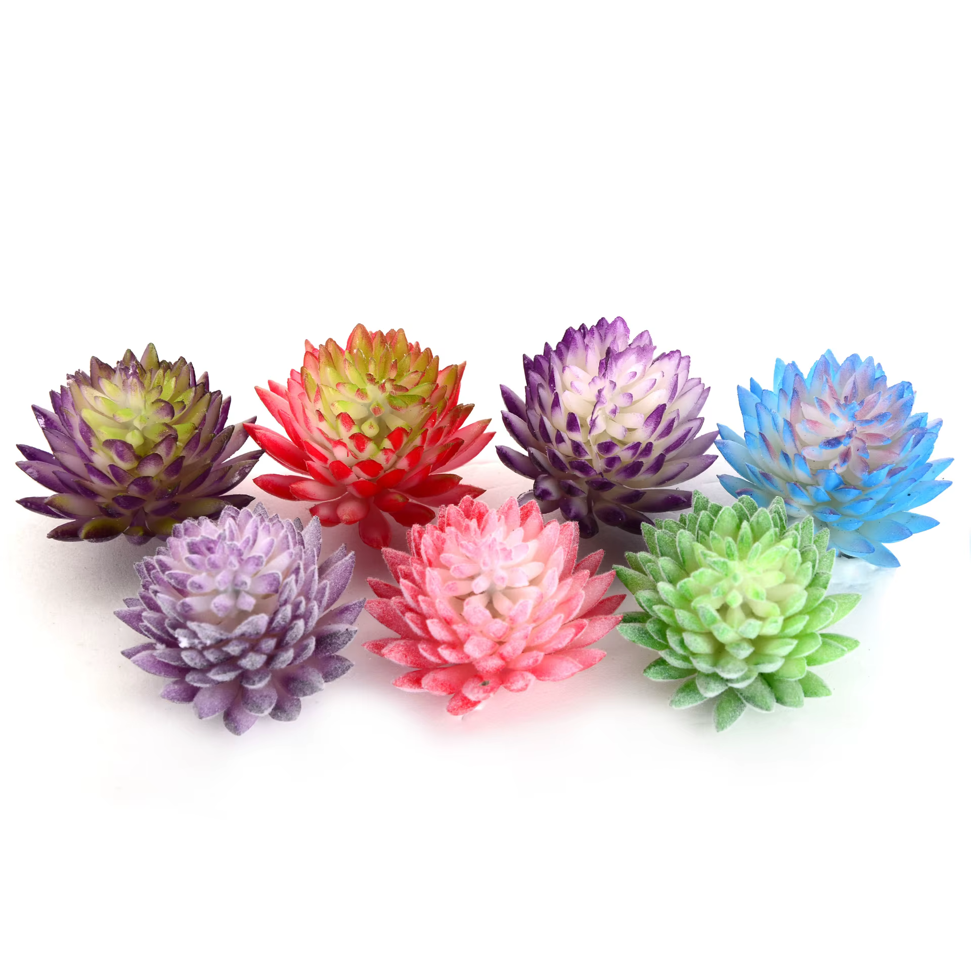 Mini plantes succulentes artificielles