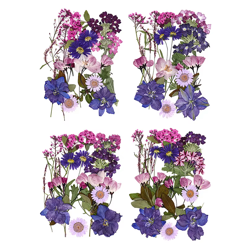 Fleurs séchées véritable plante naturelle pressée fleur pour résine époxy remplissage bricolage Nail Art artisanat