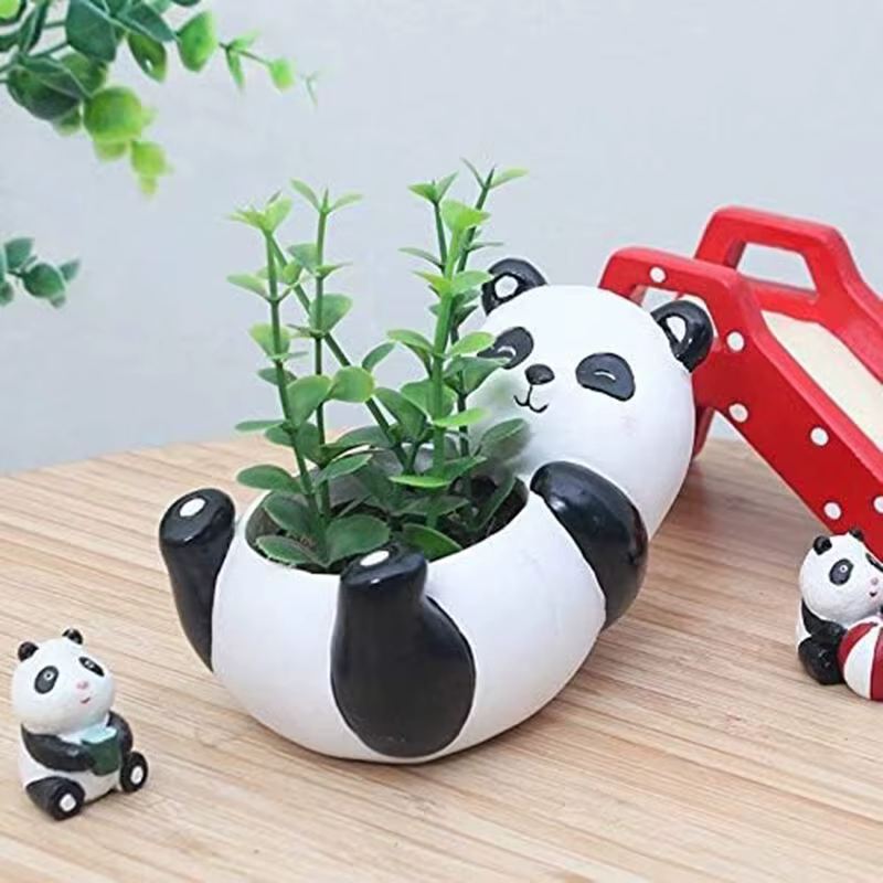 Pot de plantes panda mignon