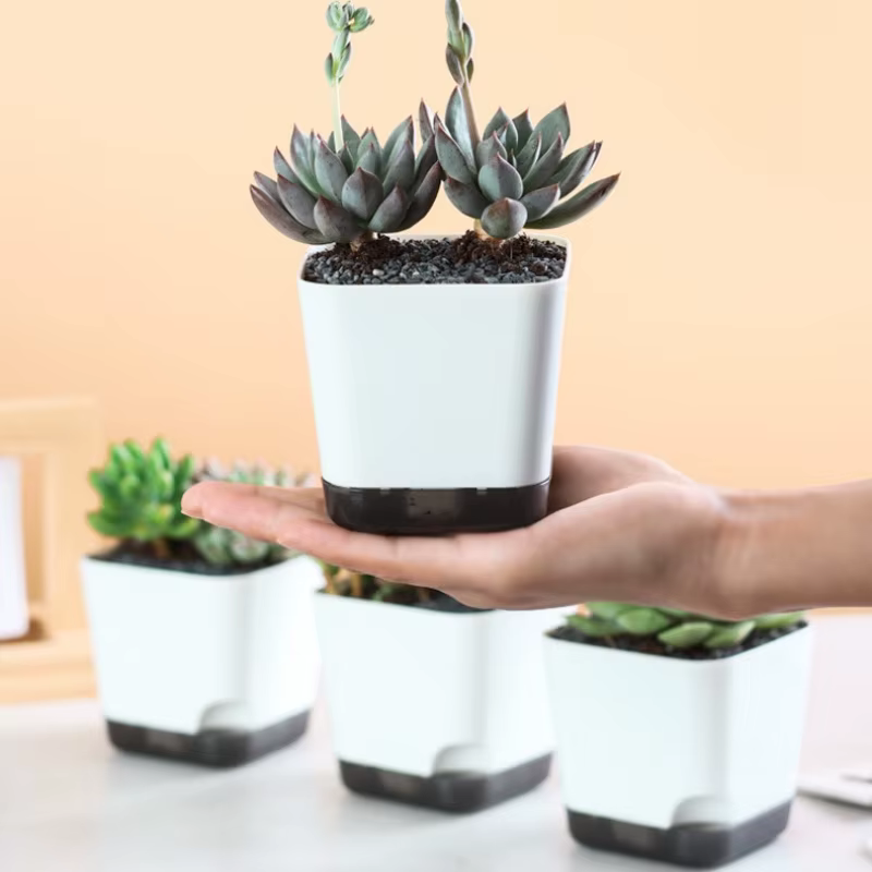 Pot de plantes à arrosage automatique