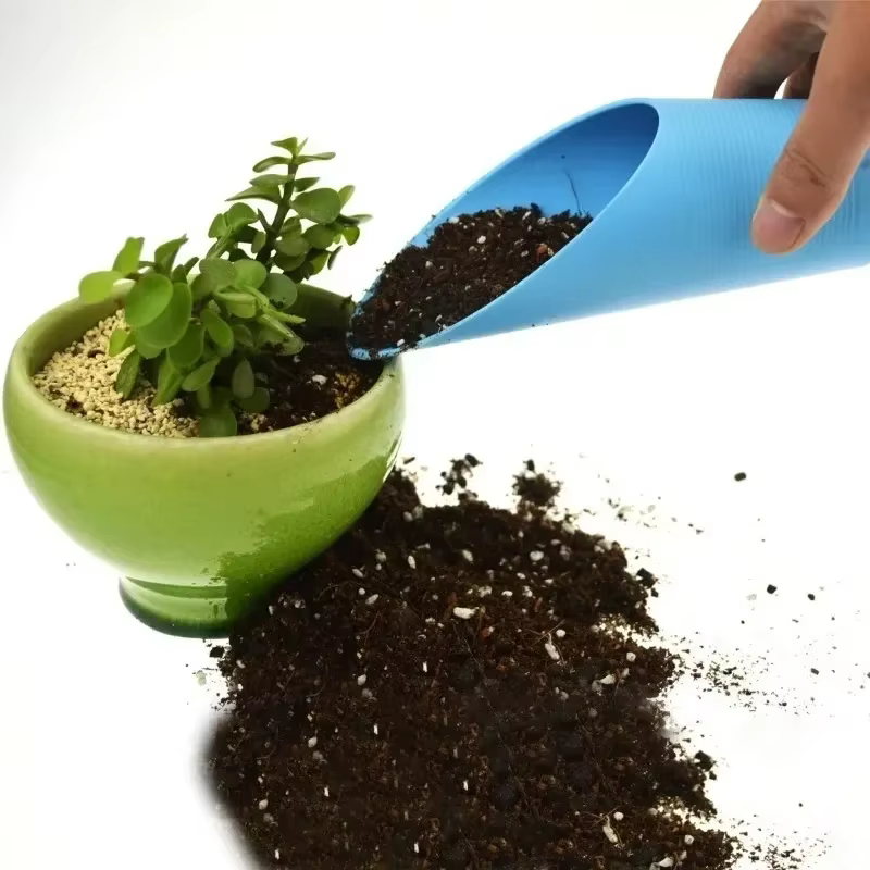 Tasses succulentes en plastique plantes vertes