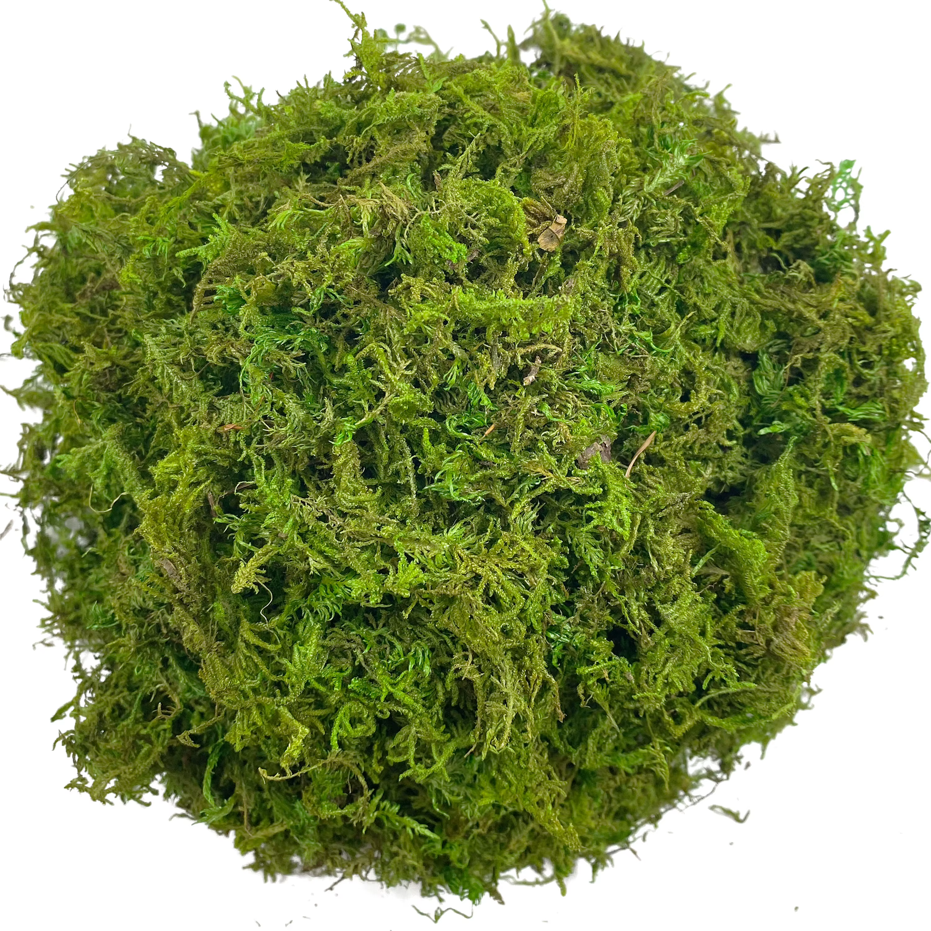 Mousse artificielle verte pour plante en pot