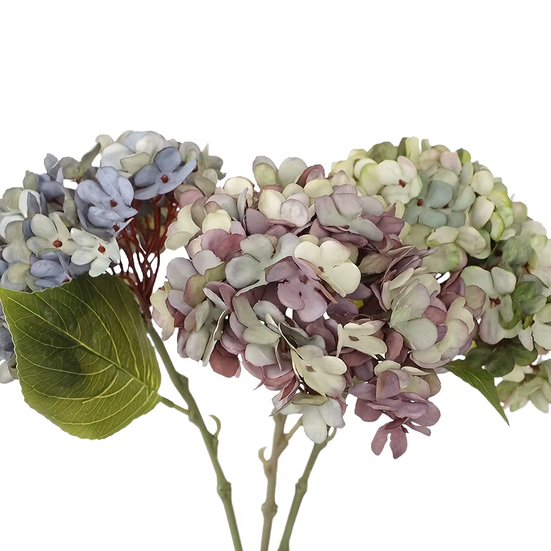 Fleurs d'hortensia simulées