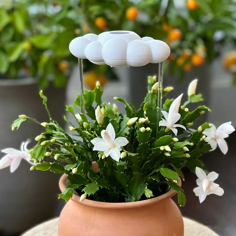 Art créatif pour le jardin
