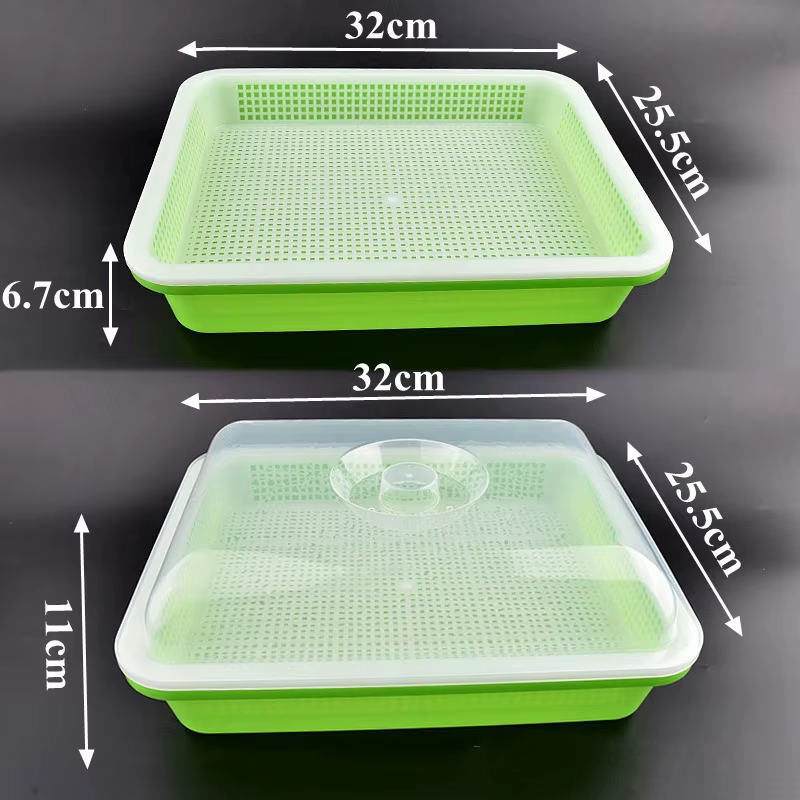 Plats à germer avec couvercle pour plantes à domicile