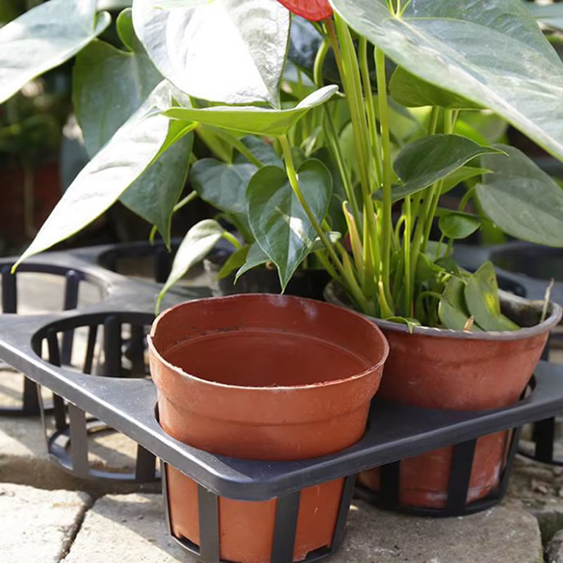 Pot de fleurs rond en plastique
