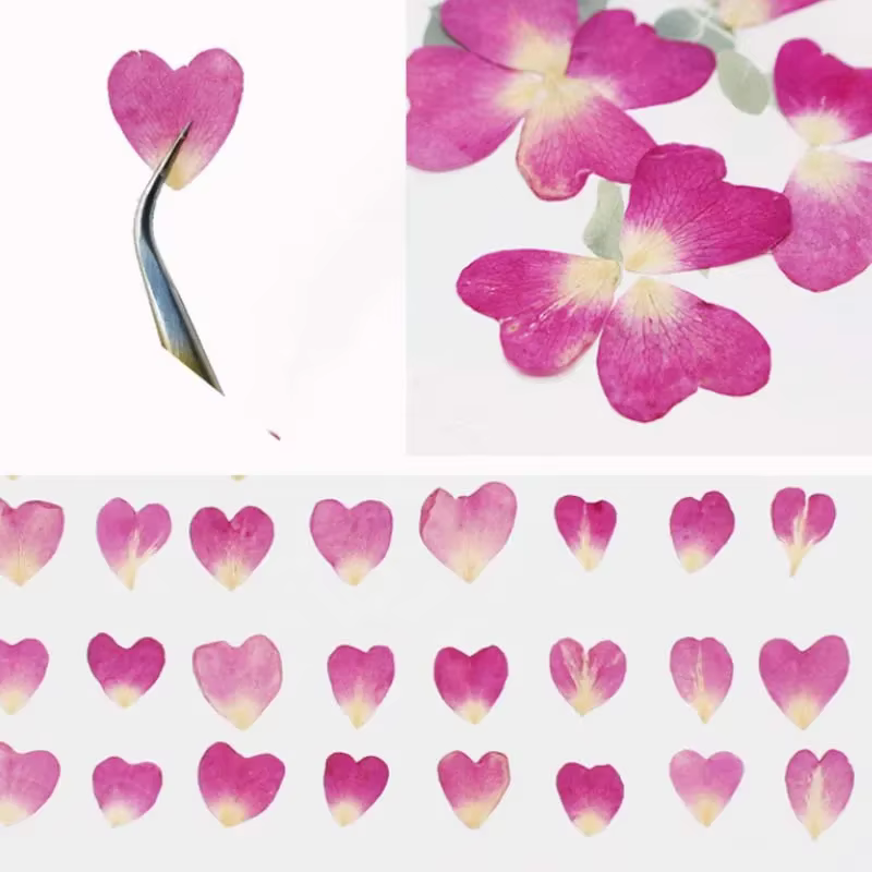 Véritables pétales de fleurs de coeur de Murcia séchées naturelles