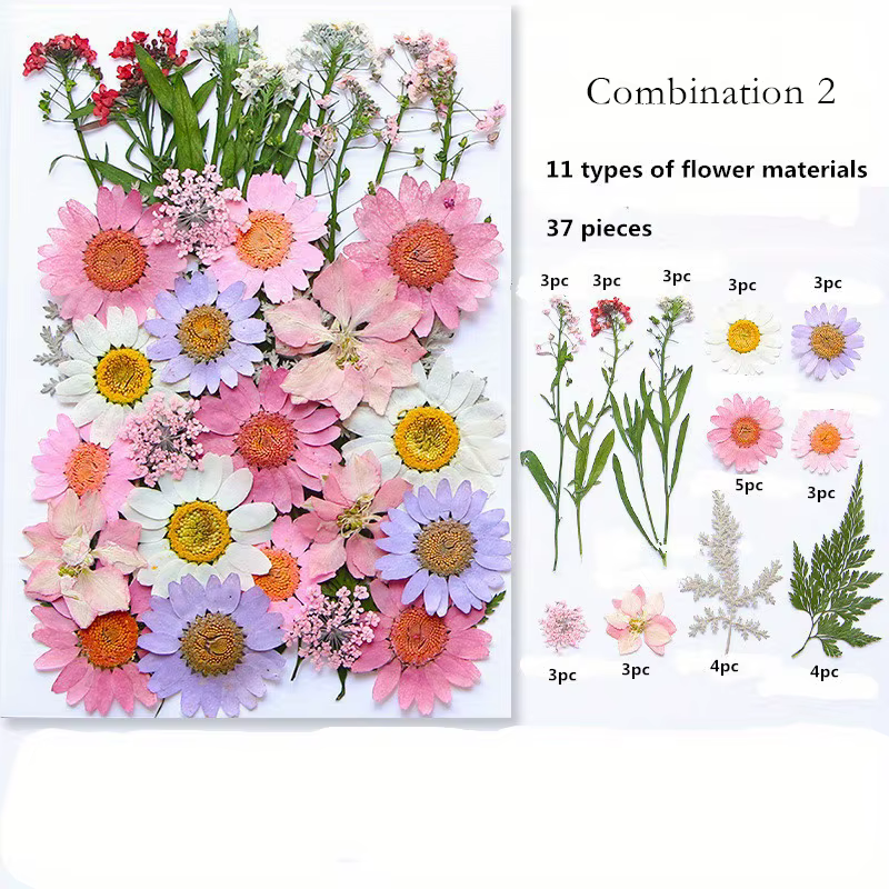 Fleurs pressées séchées pour moule en résine