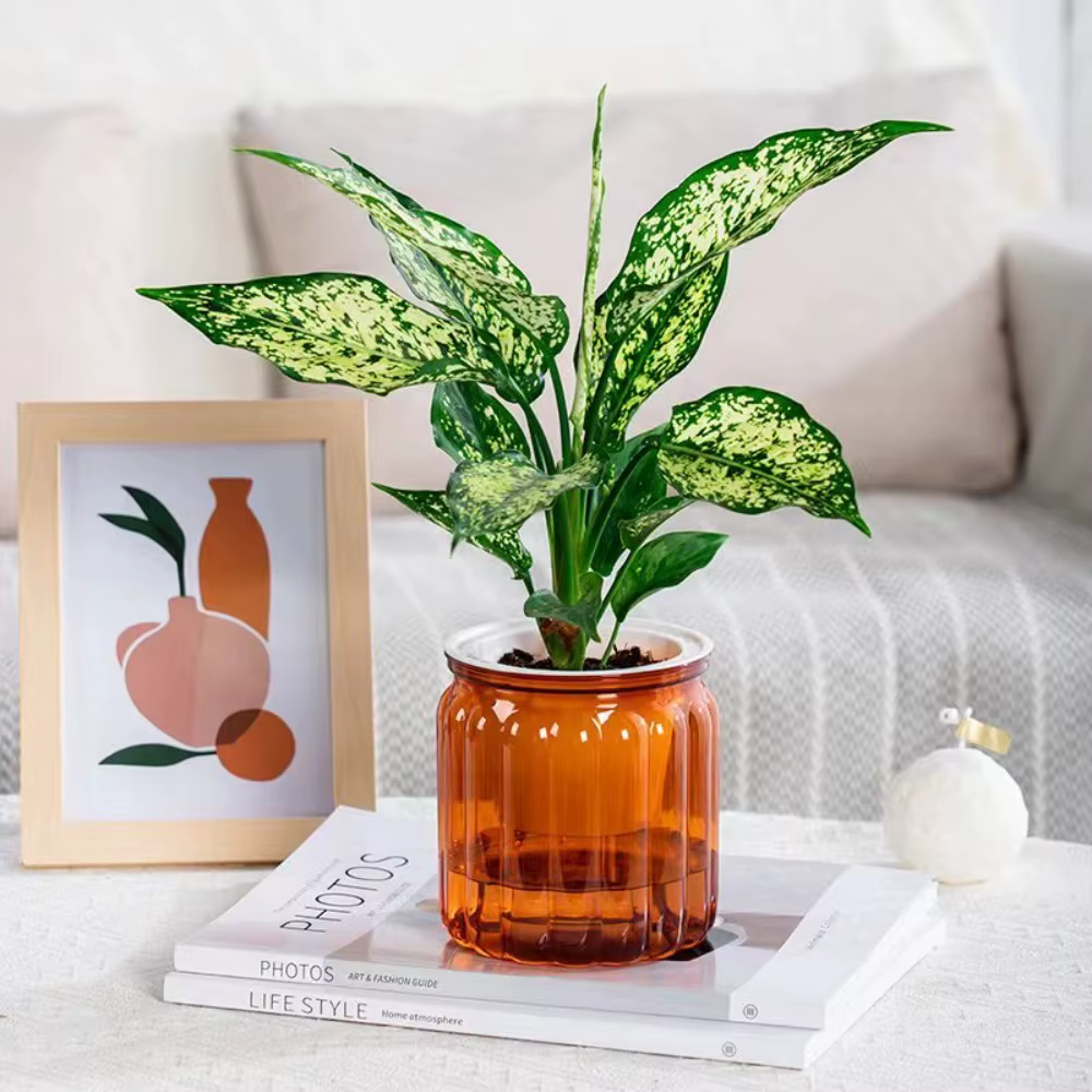 Nouveau Pot de plantes hydroponiques à arrosage automatique