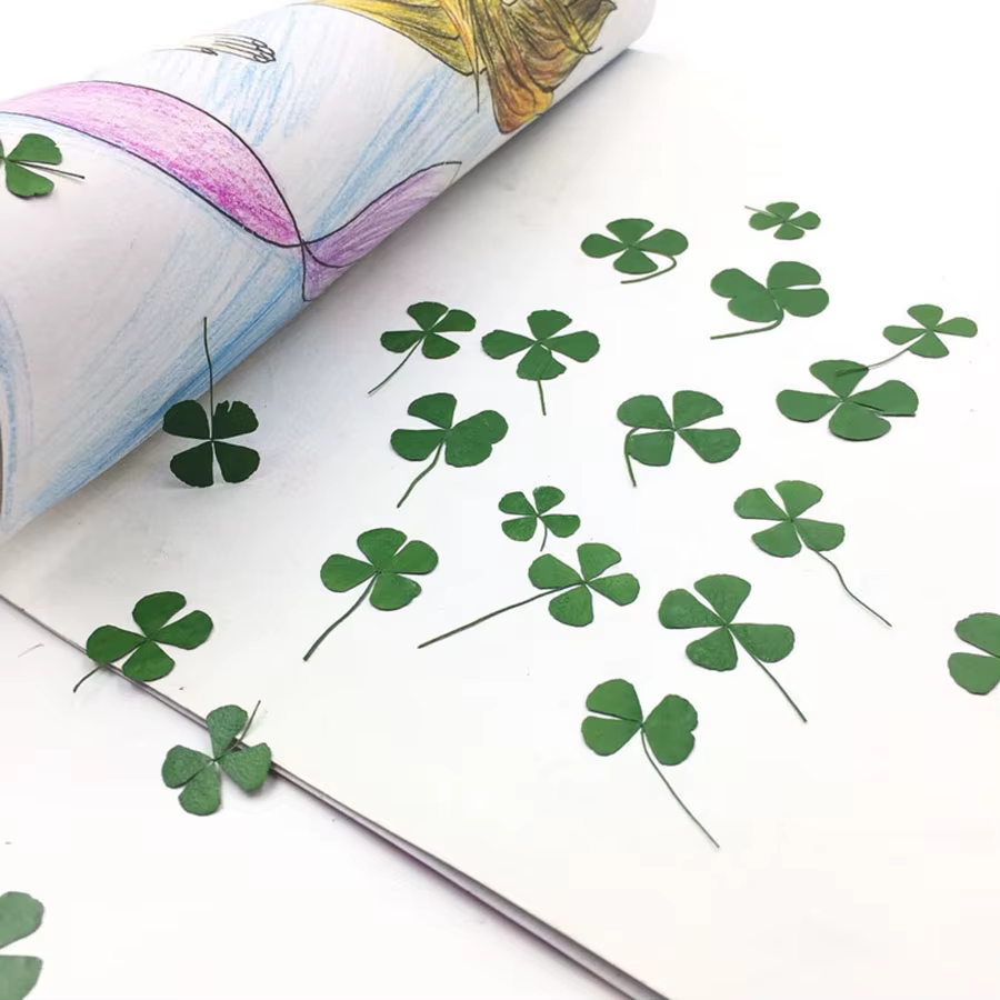 Feuilles séchées vertes PMurcia 4-scalp